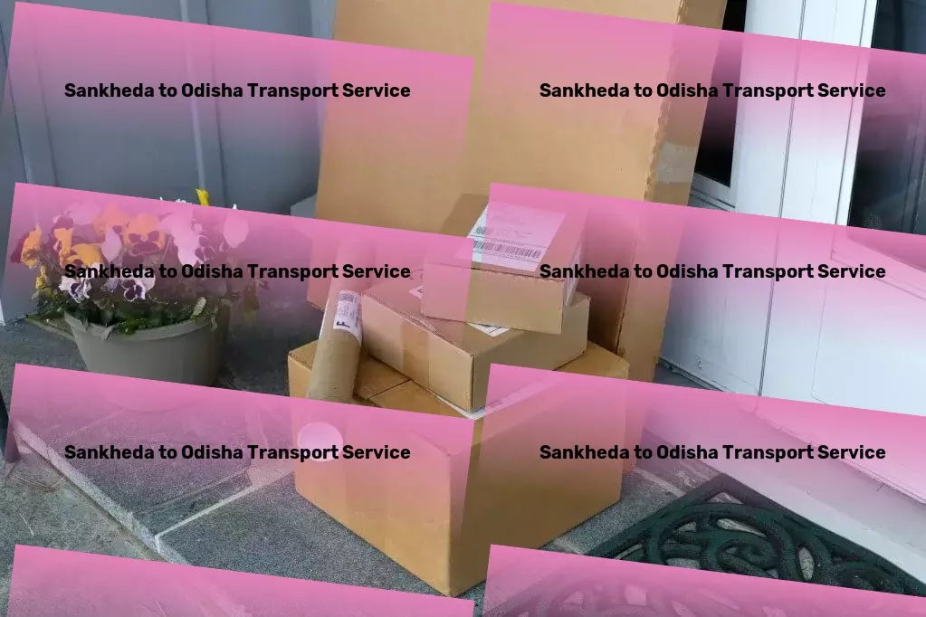 Sankheda to Odisha Luggage Courier Efficient moving solutions