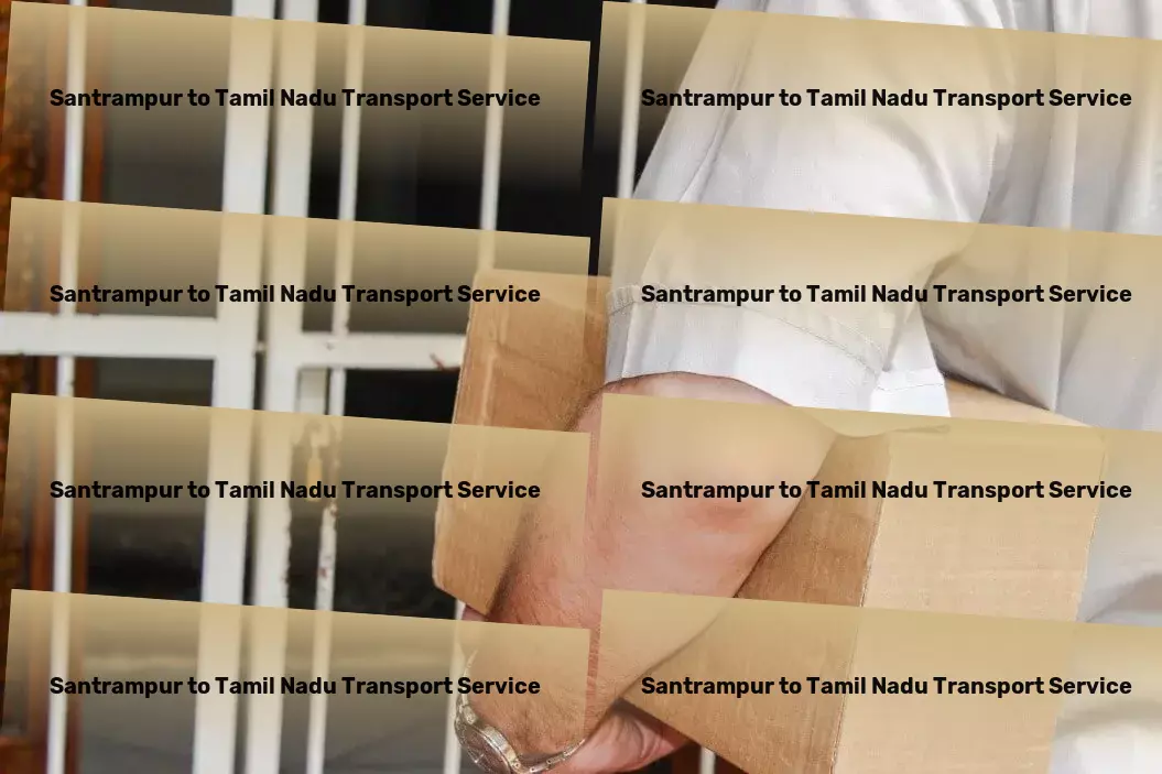 Santrampur to Tamil Nadu Household Goods Transport Special cargo services